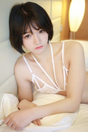 他是谁电视剧免费观看完整版